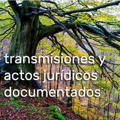 EAF19:Impuesto sobre Transmisiones Patrimoniales y Actos Jurídicos Documentados