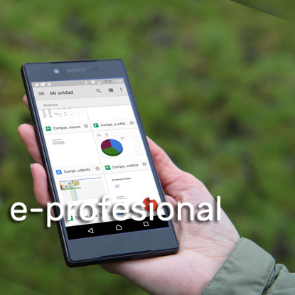 EAF21:e-Profesional